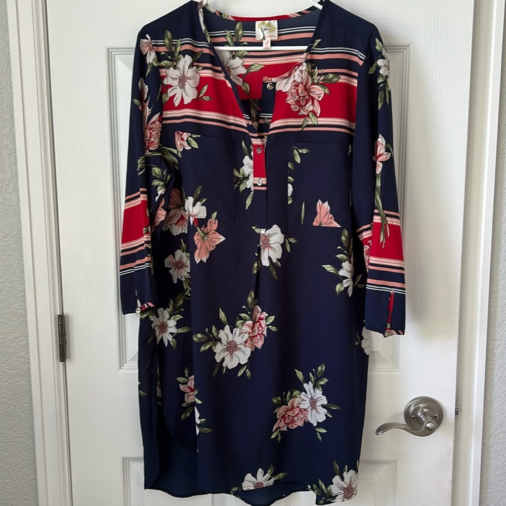 Fig and Flower boutique tunic dress xl